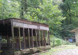 Lloyds Chapel Rd, Mount Carmel - TN