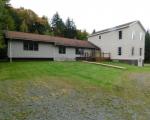 Spruce Ln, Parksville - NY