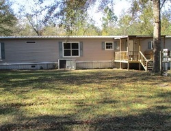 Lakeview Dr, Ray City - GA