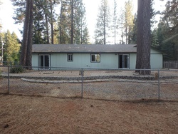 Pioneer Dr, Grizzly Flats - CA