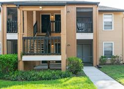 Belcher Rd S Apt 111, Largo - FL