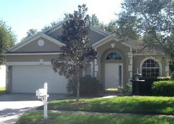 Golden Eagle Dr, Land O Lakes - FL