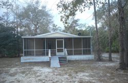 Ocala Dr, Georgetown - FL