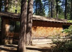 El Camino Dr, Pollock Pines - CA