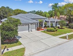 Old Oak Cir, Palm Harbor - FL