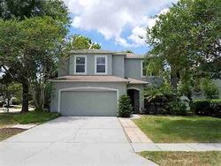 Savannah Oaks Cir, Tarpon Springs - FL