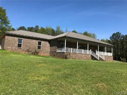 N Davis Rd, Cottondale - AL