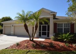 Carrington Oaks Ln, Apollo Beach - FL