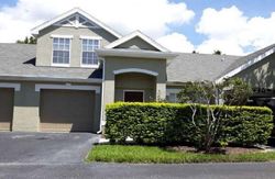 Kings Rd Apt 102, Palm Harbor - FL