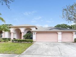 Turnbury Oak Dr, Odessa - FL