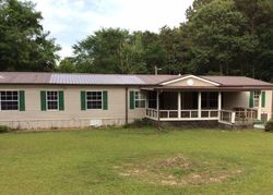 Williams Colony Rd, Downsville - LA