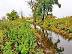 S State Route 83, Grayslake - IL