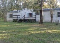 W Highway 316, Reddick - FL