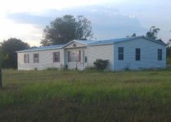 Gray Ln, Campbellton - FL