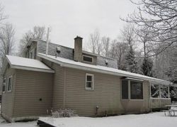 E Bessinger Rd, Twining - MI