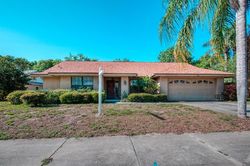 Mcauliffe Ln, Palm Harbor - FL