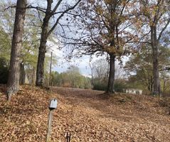 Hamburg Rd, Michie - TN
