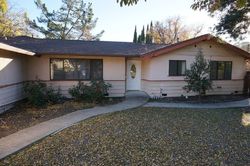 Donald Dr, Moraga - CA