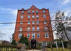 E Birch St Apt 1b, Mount Vernon - NY