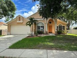 Citrus Orchard Way, Valrico - FL