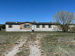 Holli Loop, Edgewood - NM