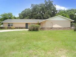 Lake Padgett Dr, Land O Lakes - FL