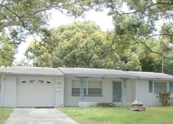 Bluebird Dr, New Port Richey - FL