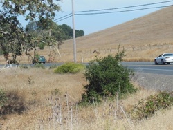 D Street Ext, Petaluma - CA