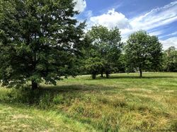 Twisted Tree Ln, West Coxsackie - NY
