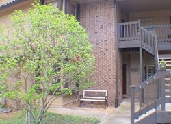 New Waterford Pl Apt 104, Longwood - FL