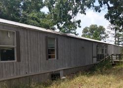 County Road 1240, Linden - TX