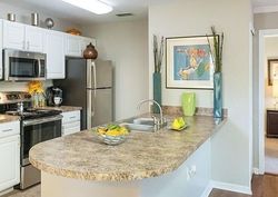 Arrowgrass Dr, Wesley Chapel - FL