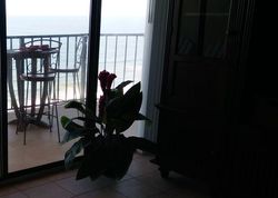 1st St N Apt 1604, Jacksonville Beach - FL