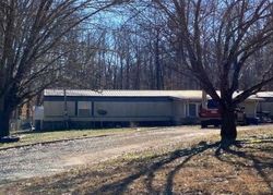 Squirrel Ave, Cohutta - GA