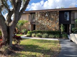 Tarpon Woods Blvd Apt A6, Palm Harbor - FL