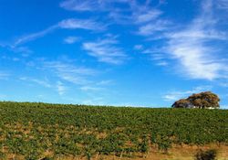 Gravel Rd, Placerville - CA