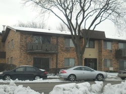 N Windsor Dr Unit 101, Arlington Heights - IL
