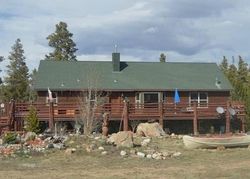 Foxtail Ln, Fairplay - CO