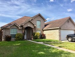 Safari Dr, San Juan - TX