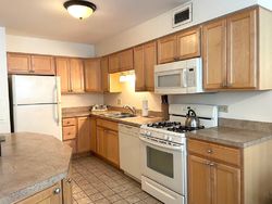 Randolph St Apt D9, Forest Park - IL