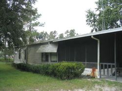 Woodsridge Dr, Polk City - FL