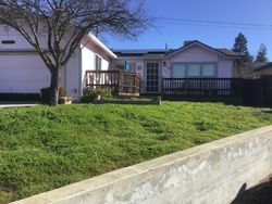 Deer Field Cir, Copperopolis - CA