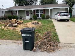 W Jefferson St, O Fallon - IL