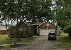 Sable Tree Ct, Rosharon - TX