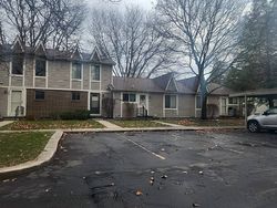 Okemos Rd, Haslett - MI