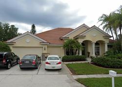 Rutledge Dr, Palm Harbor - FL