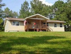 County Road 559, Hanceville - AL