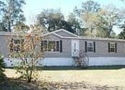 S Dolphin Dr, Floral City - FL
