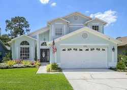 Royal Aberdeen Pl, Odessa - FL