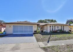 Peppertree Ln, Port Richey - FL